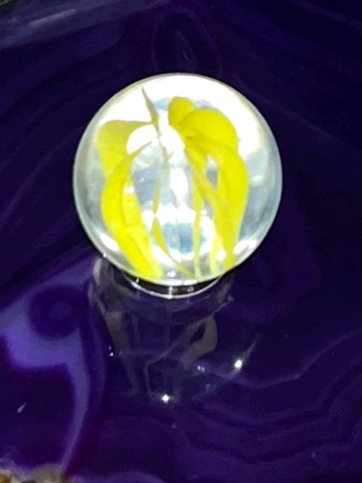 New! Sirian Portal * Portal to Sirian Star System * Experience Sirian Energies Beings and Blessings! Portal Varies